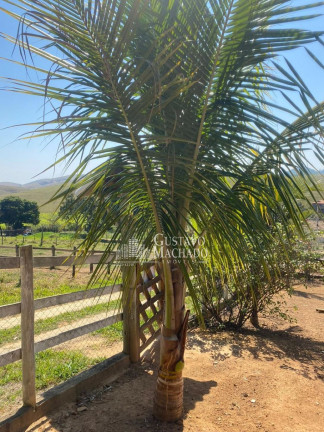 Imóvel com 2 Quartos à Venda, 800 m² em Serra Da Bocaina - Arapeí