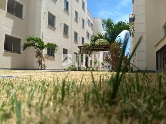 Imagem Apartamento com 2 Quartos à Venda, 50 m² em Parque Novo Jockey - Campos Dos Goytacazes Imagem Apartamento com 2 Quartos à Venda, 50 m² em Parque Novo Jockey - Campos Dos Goytacazes