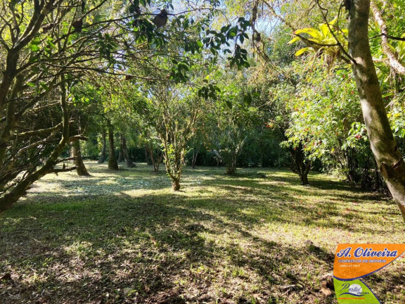 Imagem Chácara com 1 Quarto à Venda, 100 m² em Ubatumirim - Ubatuba Imagem Chácara com 1 Quarto à Venda, 100 m² em Ubatumirim - Ubatuba