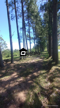 Imagem Imóvel com 2 Quartos à Venda, 50.000 m² em Capela Da Buena - Morro Redondo Imagem Imóvel com 2 Quartos à Venda, 50.000 m² em Capela Da Buena - Morro Redondo