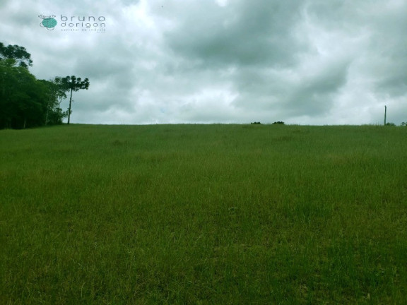 Imagem Imóvel à Venda, 70.000 m² em Zona Rural - Alfredo Wagner Imagem Imóvel à Venda, 70.000 m² em Zona Rural - Alfredo Wagner