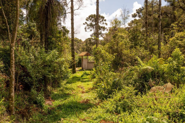 Imagem Terreno à Venda, 3.132 m² em Campos Do Jordão Imagem Terreno à Venda, 3.132 m² em Campos Do Jordão