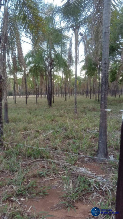 Imagem Chácara à Venda, 1 m² em Zona Rural - Guapó Imagem Chácara à Venda, 1 m² em Zona Rural - Guapó