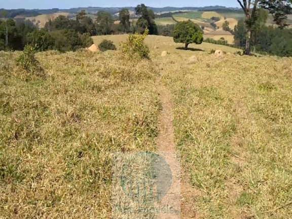 Imagem Imóvel com 4 Quartos à Venda, 540.628 m² em Zona Rural - Biguatinga