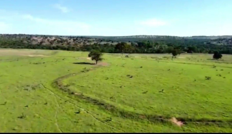 Imagem Fazenda à Venda, 4.534 m² em Rural - Camapuã