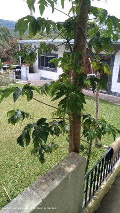 Imagem Imóvel com 6 Quartos para Alugar, 47 m² em Vila Bocaina - Mauá