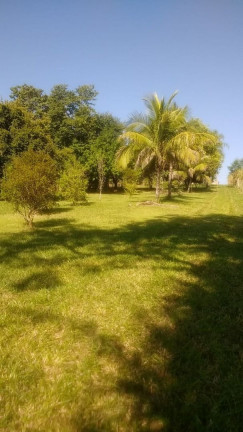 Imagem Chácara com 4 Quartos à Venda, 170 m² em Centro (ártemis) - Piracicaba Imagem Chácara com 4 Quartos à Venda, 170 m² em Centro (ártemis) - Piracicaba