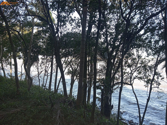Imagem Imóvel com 2 Quartos à Venda,  em Itaguaçu - Imaruí