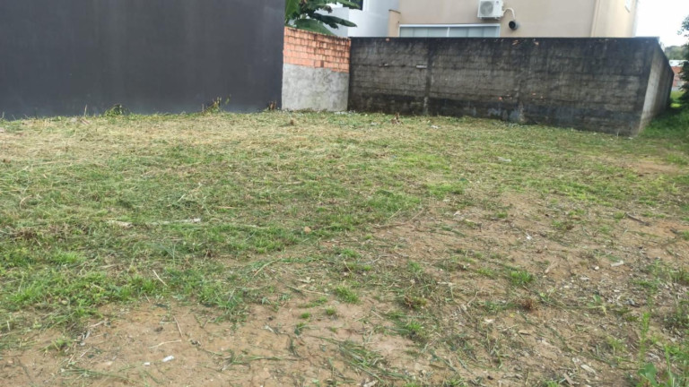 Imagem Terreno à Venda, 250 m² em Ponta Negra - Manaus