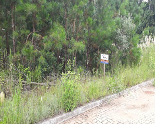Imagem Imóvel à Venda, 384 m² em Vila Germânia - Nova Petrópolis Imagem Imóvel à Venda, 384 m² em Vila Germânia - Nova Petrópolis