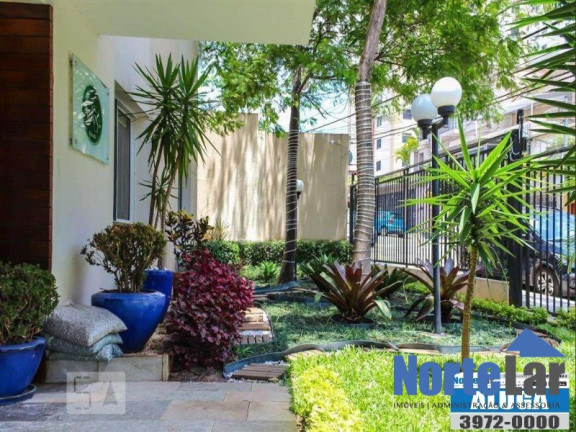 Imagem Apartamento com 2 Quartos para Alugar, 53 m² em Vila Gomes - São Paulo Imagem Apartamento com 2 Quartos para Alugar, 53 m² em Vila Gomes - São Paulo