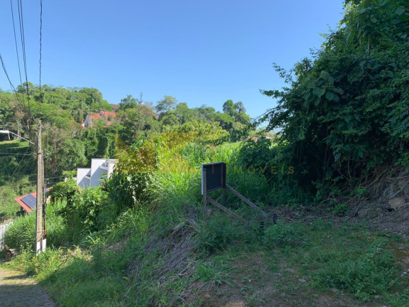 Imagem Imóvel à Venda, 450 m² em Escola Agrícola - Blumenau