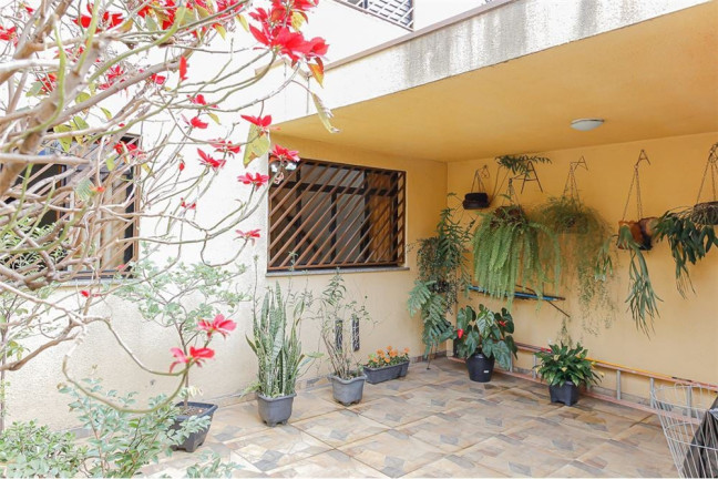 Imagem Casa com 3 Quartos à Venda, em Vila Invernada - São Paulo Imagem Casa com 3 Quartos à Venda, em Vila Invernada - São Paulo