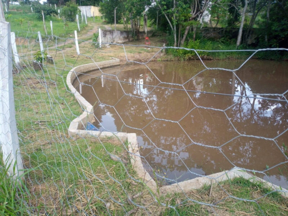 Imagem Chácara com 3 Quartos à Venda, 160 m² em Curitibanos - Bragança Paulista Imagem Chácara com 3 Quartos à Venda, 160 m² em Curitibanos - Bragança Paulista