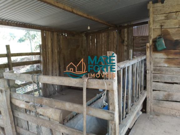 Imagem Fazenda à Venda, 25.700 m² em Centro - São Luiz Do Paraitinga Imagem Fazenda à Venda, 25.700 m² em Centro - São Luiz Do Paraitinga