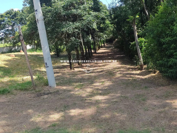 Imagem Chácara com 4 Quartos à Venda, 30 m² em Sítios Primavera - Jarinu Imagem Chácara com 4 Quartos à Venda, 30 m² em Sítios Primavera - Jarinu