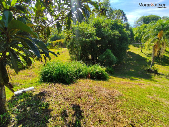Imagem Imóvel com 2 Quartos à Venda, 7.724 m² em Loteamento Chácara Chantecler - Piraquara Imagem Imóvel com 2 Quartos à Venda, 7.724 m² em Loteamento Chácara Chantecler - Piraquara