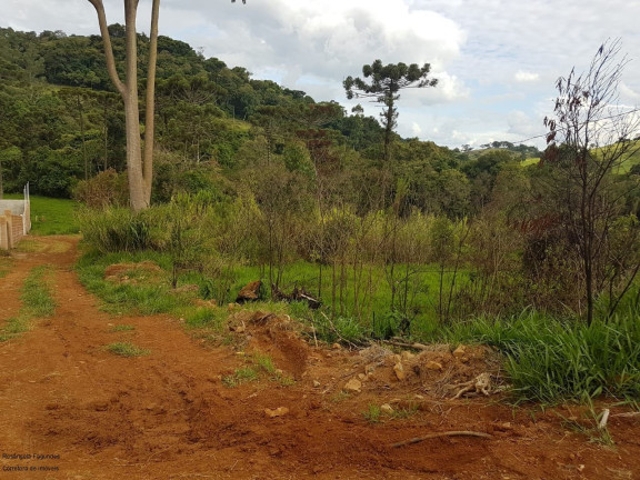 Imagem Imóvel à Venda, 2.000 m² em Laranjeiras De Caldas - Laranjeiras De Caldas Imagem Imóvel à Venda, 2.000 m² em Laranjeiras De Caldas - Laranjeiras De Caldas