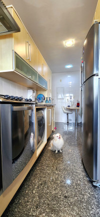 Imagem Apartamento com 3 Quartos à Venda, 116 m² em Vila Romana - São Paulo