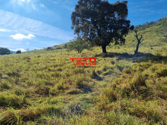 Imagem Imóvel à Venda, em Zona Rural - Soledade De Minas Imagem Imóvel à Venda, em Zona Rural - Soledade De Minas