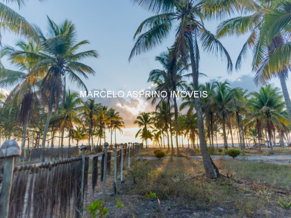 Imagem Imóvel à Venda, em Ilha De Contrato - Igrapiúna Imagem Imóvel à Venda, em Ilha De Contrato - Igrapiúna