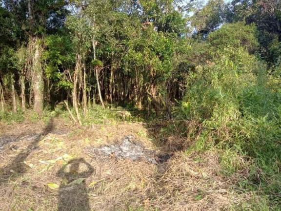 Imagem Chácara à Venda, 1.250 m² em Jardim Aguapeú - Itanhaém Imagem Chácara à Venda, 1.250 m² em Jardim Aguapeú - Itanhaém