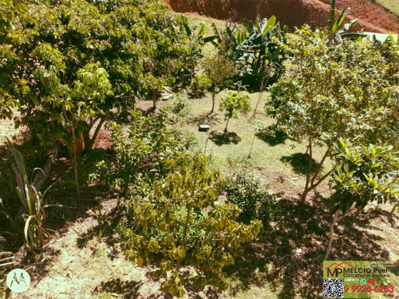 Imagem Imóvel com 2 Quartos à Venda,  em Morro Do Descanso - Major Gercino