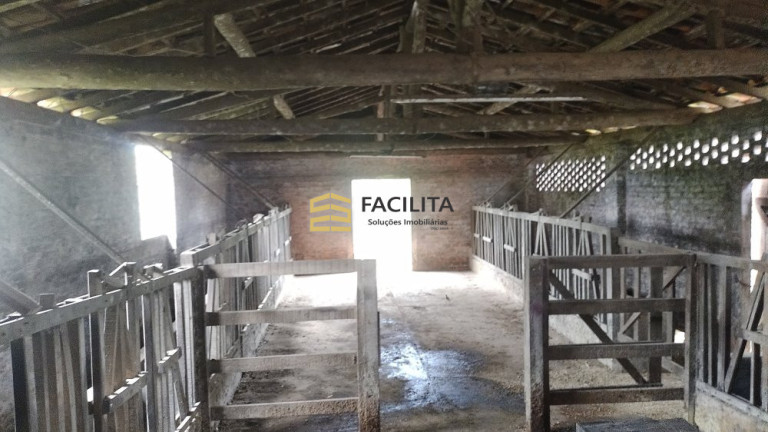 Imagem Imóvel com 3 Quartos à Venda, 660.000 m² em Hidráulica - Capão Do Leão Imagem Imóvel com 3 Quartos à Venda, 660.000 m² em Hidráulica - Capão Do Leão