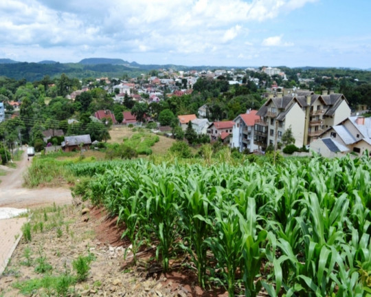 Imagem Imóvel à Venda, 684 m² em Pousada Da Neve - Nova Petrópolis Imagem Imóvel à Venda, 684 m² em Pousada Da Neve - Nova Petrópolis