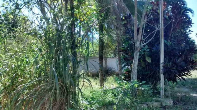 Imagem Imóvel com 5 Quartos à Venda, 2.000 m² em Guaratiba - Rio De Janeiro Imagem Imóvel com 5 Quartos à Venda, 2.000 m² em Guaratiba - Rio De Janeiro