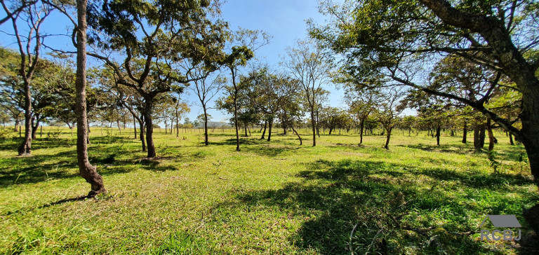 Imagem Terreno à Venda, em Tropeiros - Esmeraldas Imagem Terreno à Venda, em Tropeiros - Esmeraldas