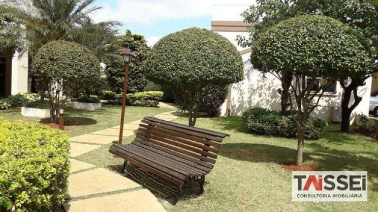 Imagem Apartamento com 4 Quartos à Venda, 62 m² em Vila Santa Catarina - São Paulo