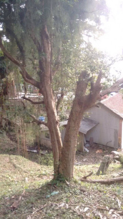 Imagem Terreno à Venda, 2.506 m² em Centro - Florianópolis Imagem Terreno à Venda, 2.506 m² em Centro - Florianópolis