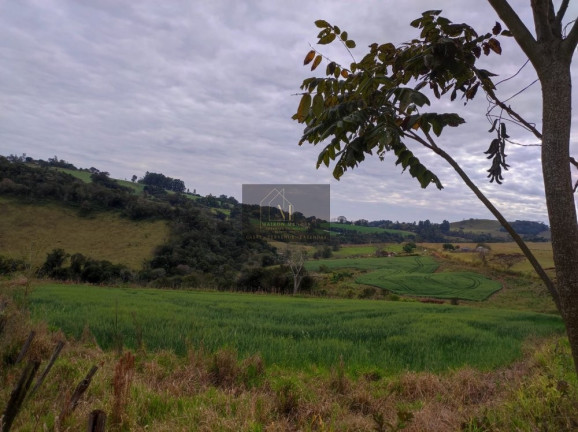 Imagem Terreno à Venda, 2.600 m² em Tomazina - Tomazina