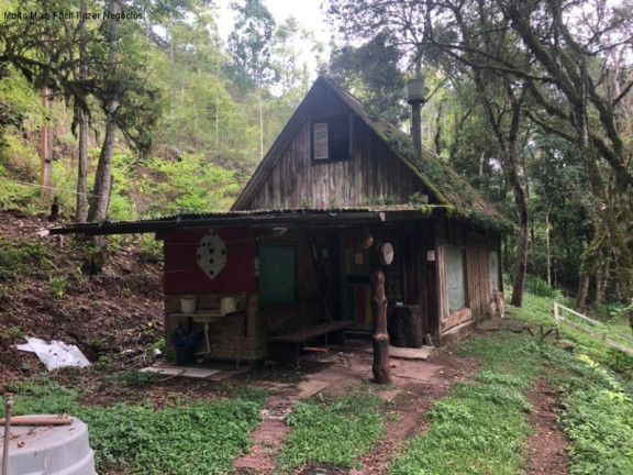 Imagem Imóvel com 2 Quartos à Venda, 80 m² em Linha Pirajá Baixa - Nova Petrópolis