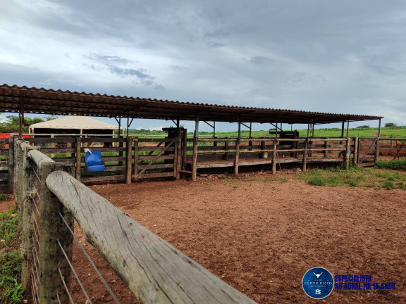 Imagem Chácara à Venda, 8 m² em Zona Rural - Taquaral De Goiás Imagem Chácara à Venda, 8 m² em Zona Rural - Taquaral De Goiás