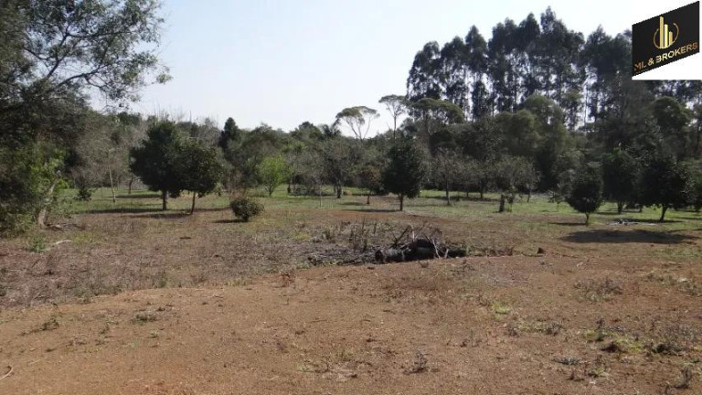 Imagem Imóvel com 4 Quartos à Venda, 84.000 m² em Jardim Itaqui - Campo Largo Imagem Imóvel com 4 Quartos à Venda, 84.000 m² em Jardim Itaqui - Campo Largo