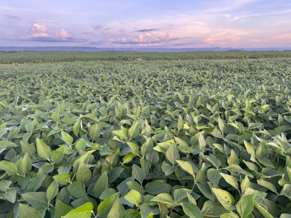 Imagem Fazenda à Venda, 9.700 m² em Rural - Pontes E Lacerda