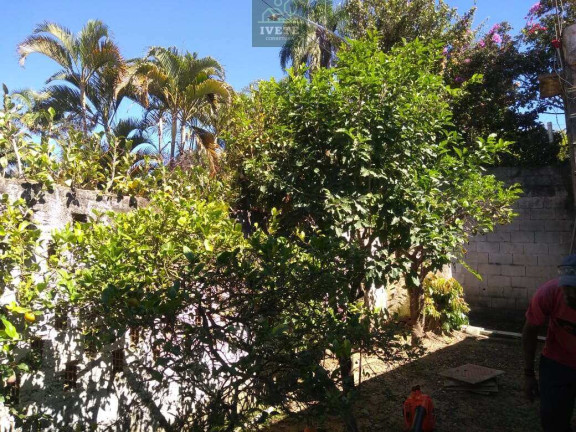 Imagem Casa com 2 Quartos à Venda, 100 m² em Serra Negra Imagem Casa com 2 Quartos à Venda, 100 m² em Serra Negra