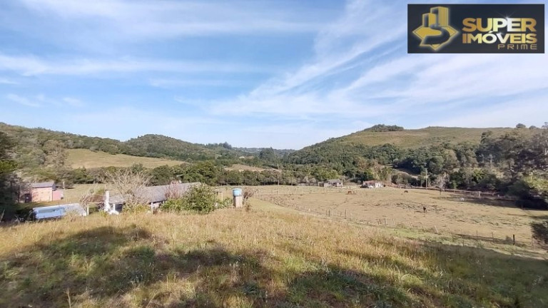 Imóvel com 3 Quartos à Venda, 85.000 m² em Zona Rural - Morro Redondo