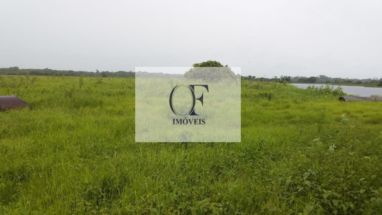 Imagem Fazenda à Venda, 24.000 m² em Pantanal - Corumbá