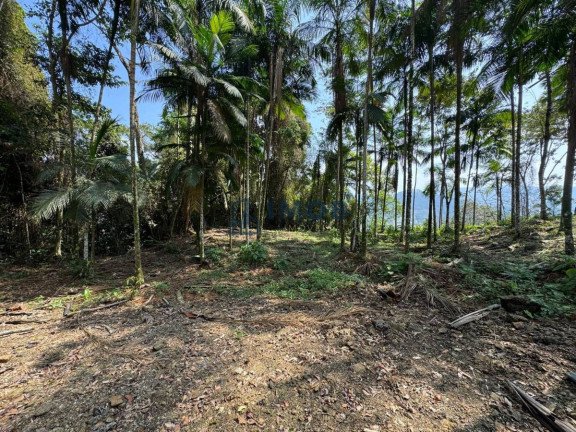 Imagem Chácara à Venda, 20.000 m² em Garibaldi - Jaraguá Do Sul Imagem Chácara à Venda, 20.000 m² em Garibaldi - Jaraguá Do Sul
