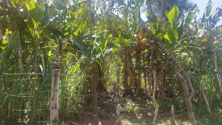 Imagem Imóvel com 3 Quartos à Venda, 200 m² em Rio Verde - Bauru Imagem Imóvel com 3 Quartos à Venda, 200 m² em Rio Verde - Bauru