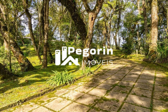 Imagem Imóvel com 7 Quartos à Venda, 39.000 m² em Zona Rural - Bocaiúva Do Sul