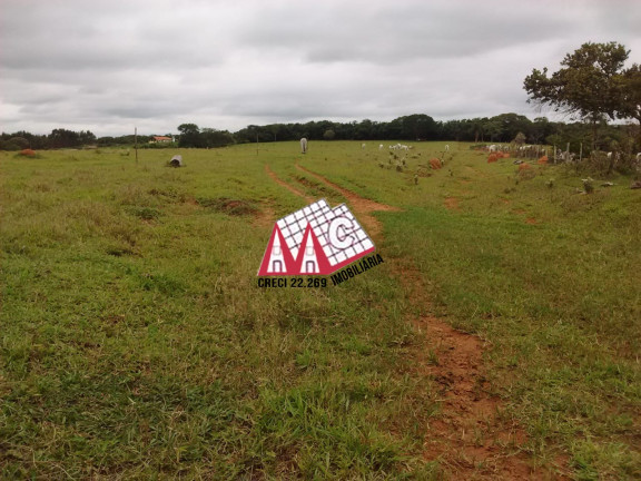 Imagem Imóvel com 3 Quartos à Venda, 484.000 m² em Sarapui - Sarapui Imagem Imóvel com 3 Quartos à Venda, 484.000 m² em Sarapui - Sarapui