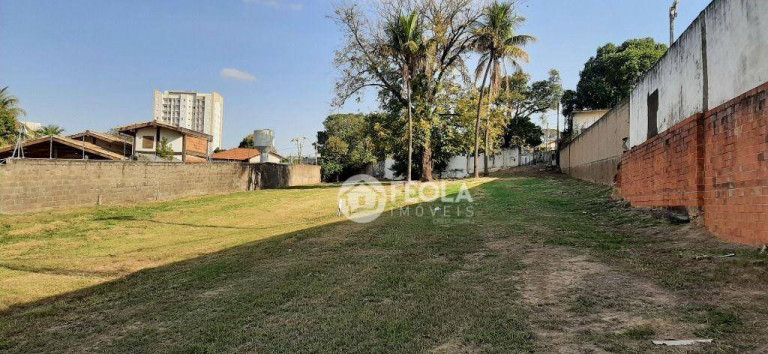 Imagem Terreno para Alugar, 2.360 m² em Jardim São Domingos - Americana Imagem Terreno para Alugar, 2.360 m² em Jardim São Domingos - Americana