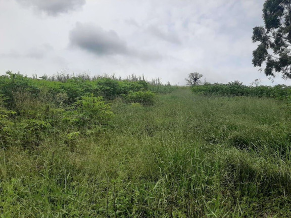 Imagem Chácara com 3 Quartos à Venda, 250 m² em Pouso Alto - Natividade Da Serra Imagem Chácara com 3 Quartos à Venda, 250 m² em Pouso Alto - Natividade Da Serra