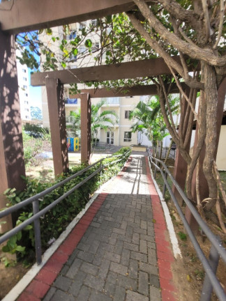Imagem Apartamento com 2 Quartos para Alugar ou Temporada, 46 m² em Jardim Limoeiro - Serra