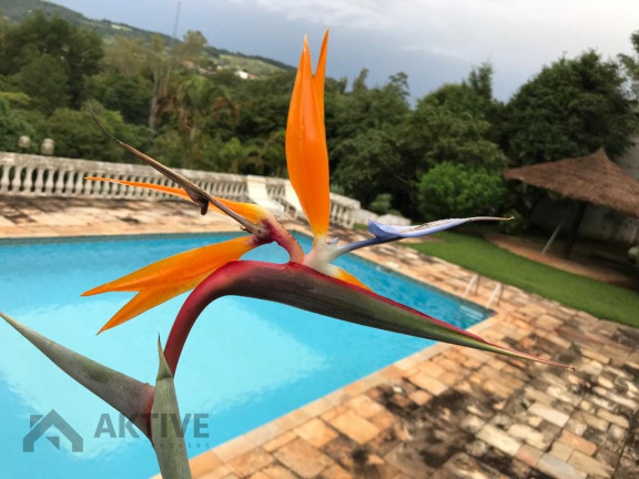Imagem Casa de Condomínio com 5 Quartos à Venda, 790 m² em Portal - Santana De Parnaíba Imagem Casa de Condomínio com 5 Quartos à Venda, 790 m² em Portal - Santana De Parnaíba
