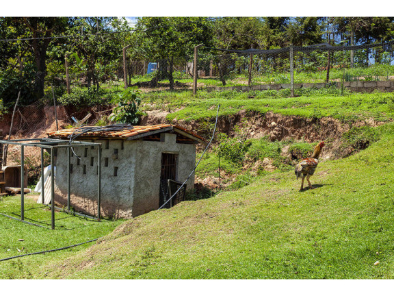 Imagem Imóvel com 4 Quartos à Venda, 500 m² em Estância Realengo - Jarinu